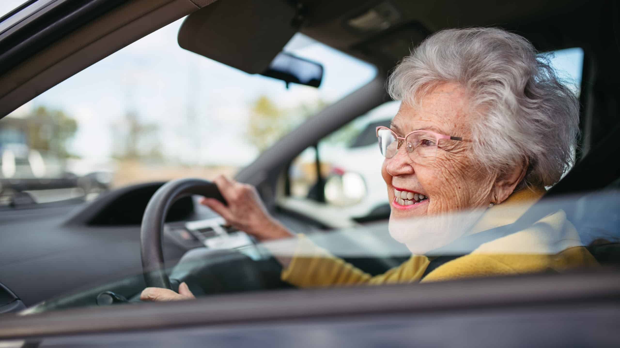 Older Road Users Segmentation