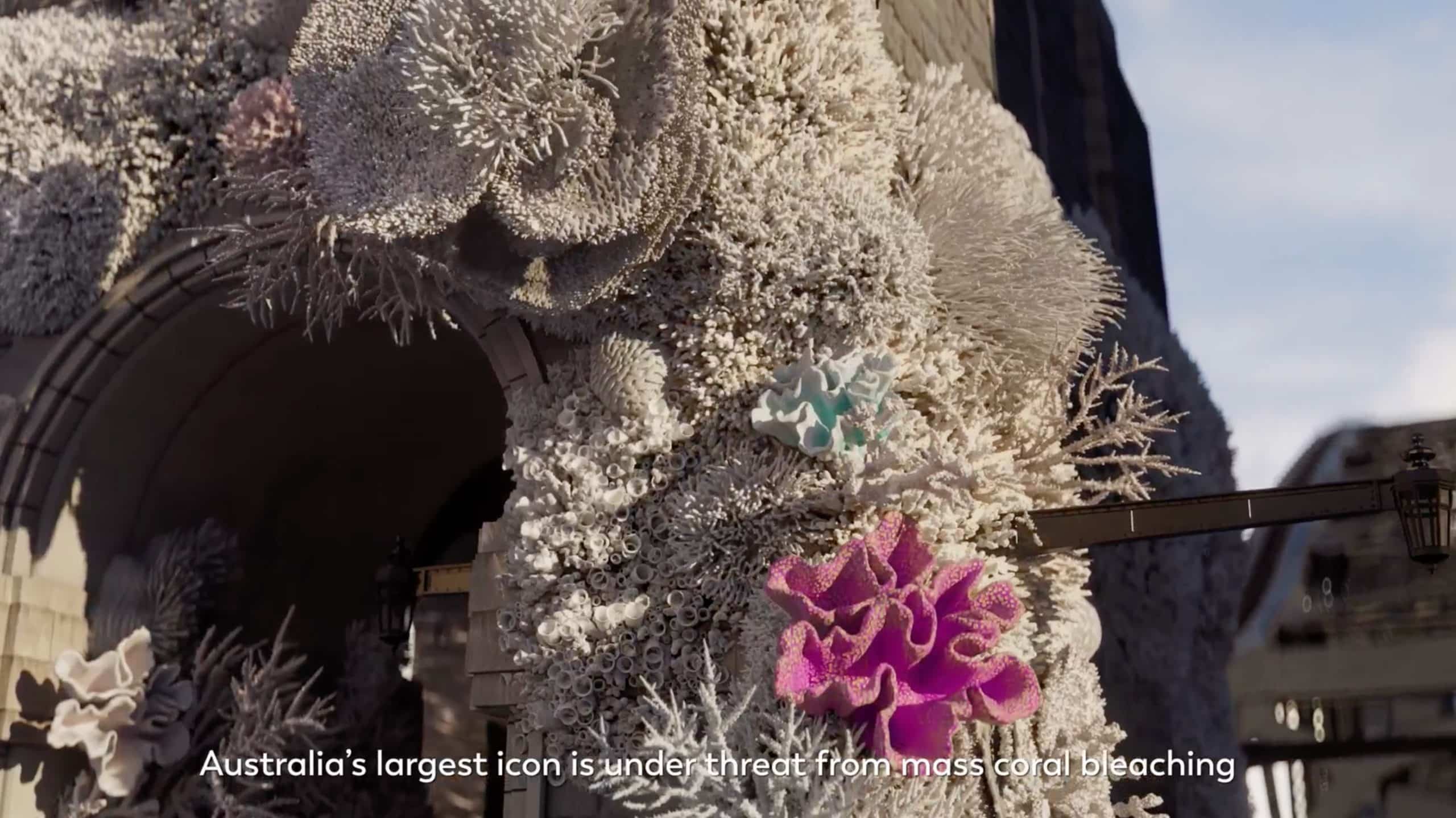 Great Barrier Reef Foundation
